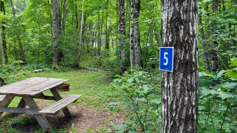 Wood Road Wilderness Tenting — image 1 of 2