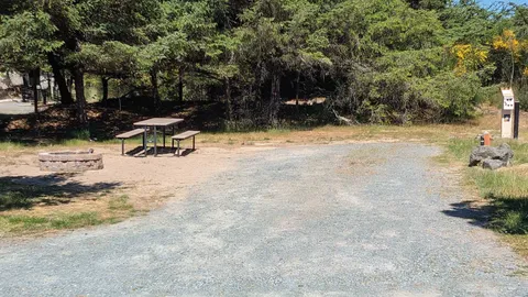 Premium Back In RV Site — image 1 of 7