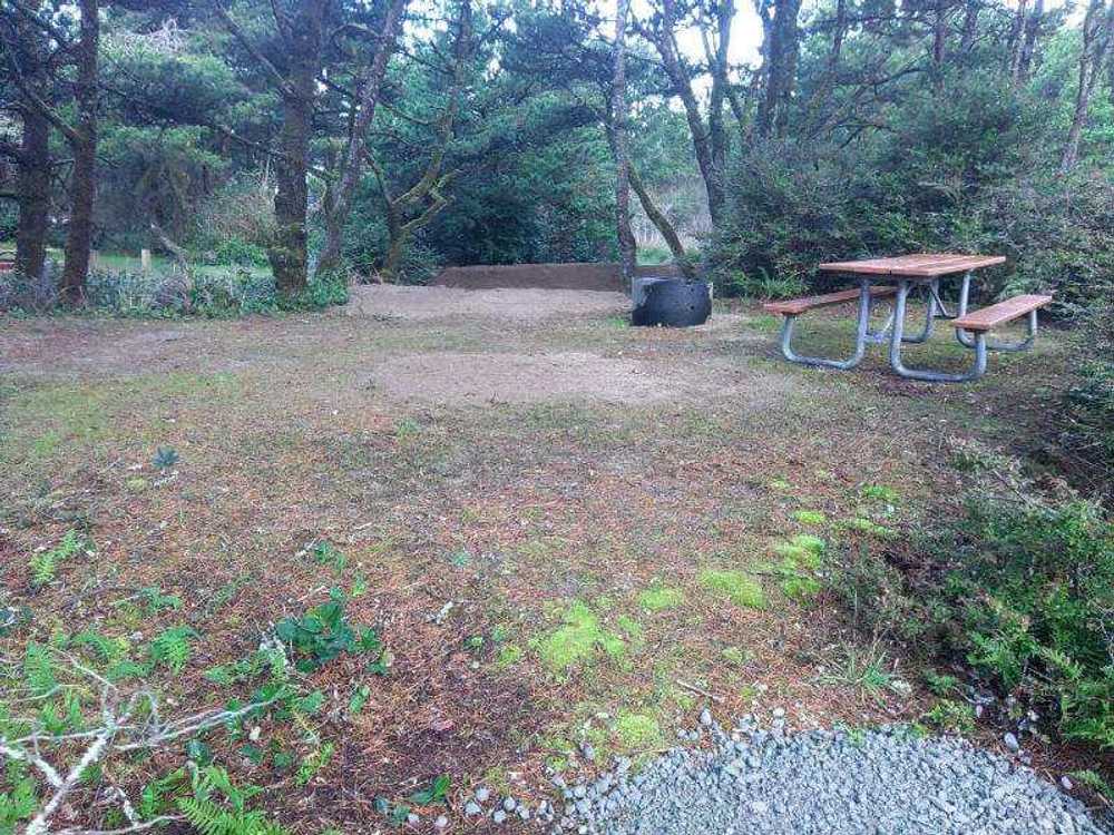 Barview Jetty County Campground - Rockaway Beach, OR - Photo 4