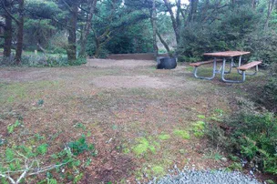 Barview Jetty County Campground – photo 4