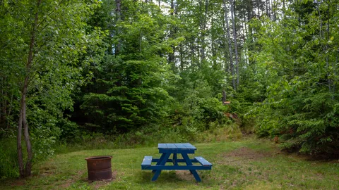 20 Amp Mill Hill — image 2 of 5