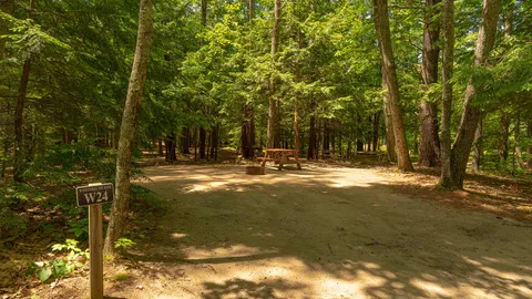 Tent Site — image 4 of 4