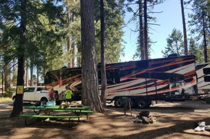 Golden Pines RV Resort – photo 2