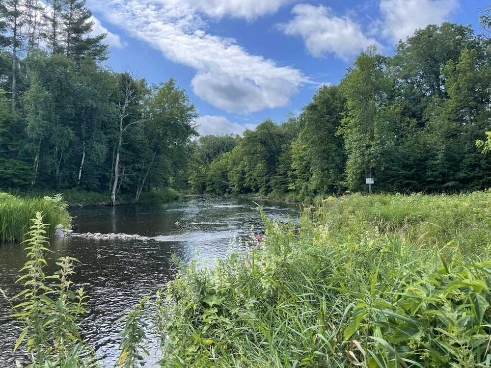 Rum River Campground, Onamia, Minnesota - Photo 3