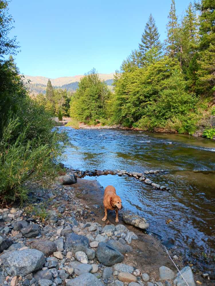 Coffee Creek Campground & R.V. Park, Trinity Center, California - Photo 2