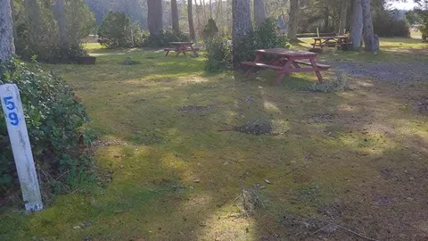 Un-serviced Ocean View Tent Sites (48, 49, 59-65) — image 2 of 10