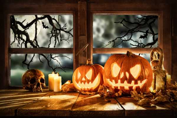 Pumpkins and Potions: a Halloween Commotion
