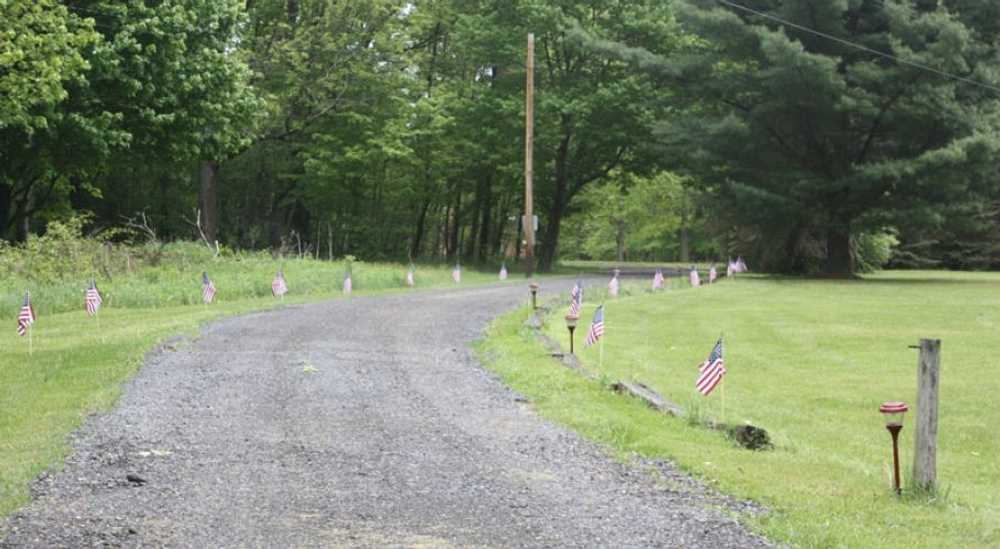 Forest Ridge Cabins and Campground, Marienville, Pennsylvania - Photo 5