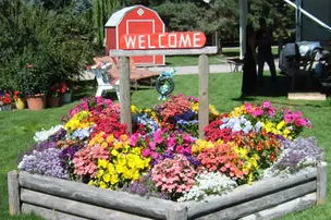 Diamond S RV Park – photo 2