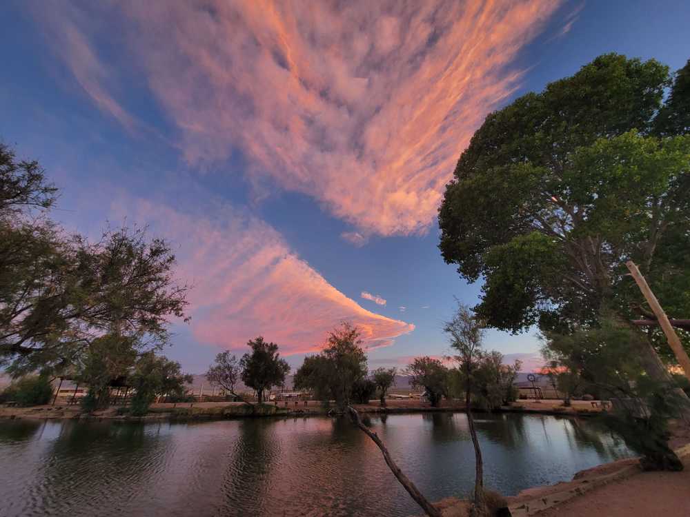 Joshua Tree Lake RV and Campground - Joshua Tree, CA - Photo 2