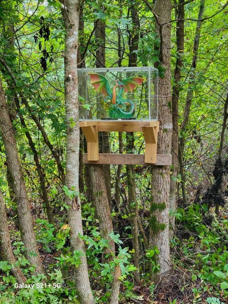 Park Image 5