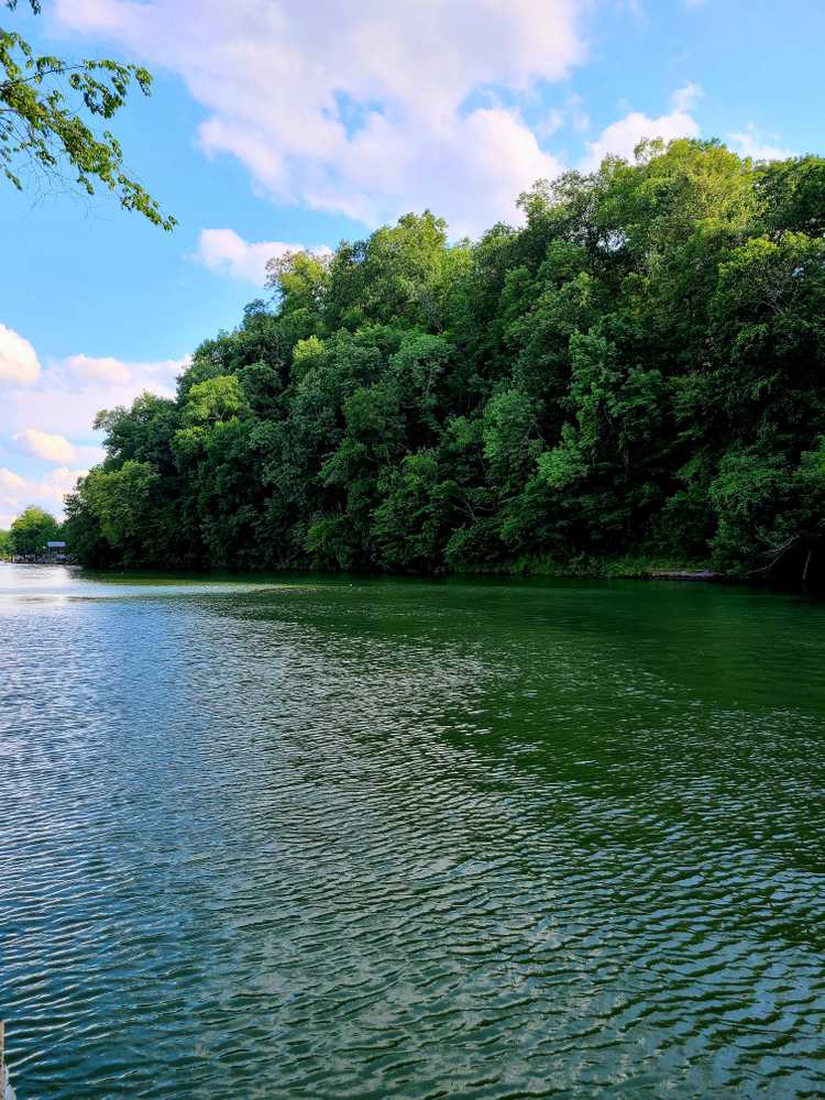 Creekside Camp, Florence, Alabama - Photo 4