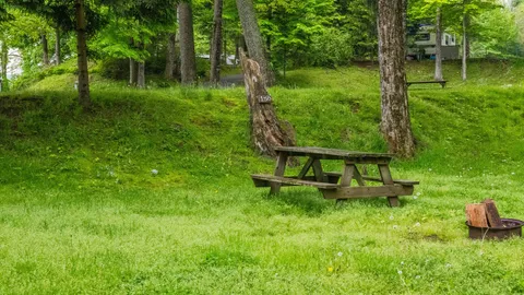 Rustic Tent — image 2 of 3