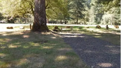 Blue Tent Site — image 2 of 6