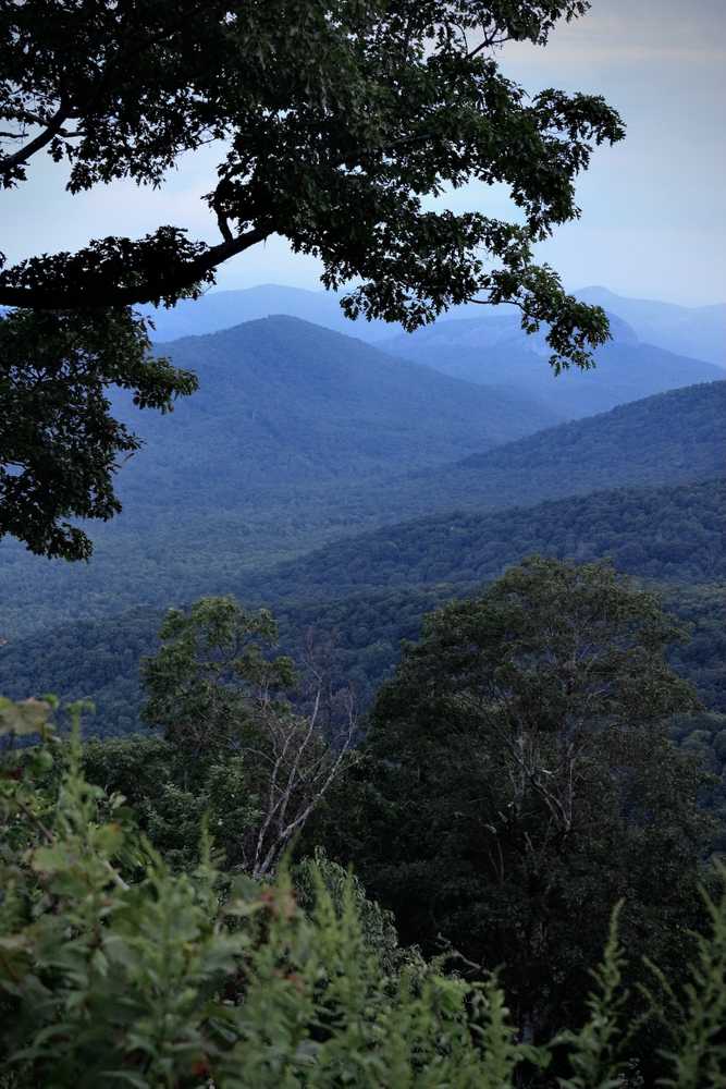 Park Image 11