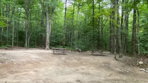 Tent-Double Site, Electricity, Wooded — image 1 of 1