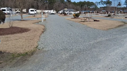 Deluxe Pull-Through RV Site — image 1 of 1