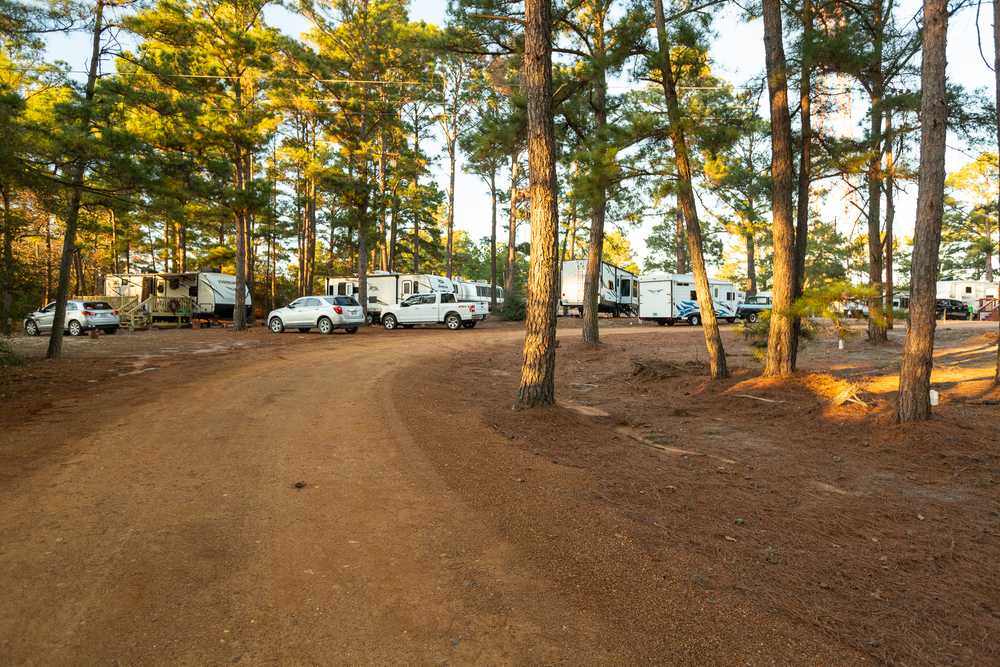 The Pines at Bastrop RV Park - Photo 2