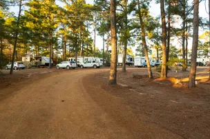 The Pines at Bastrop RV Park – photo 2