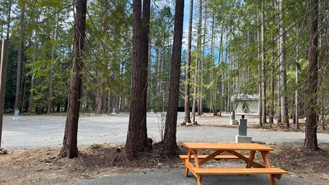Deluxe Full Hookup RV Site — image 1 of 14