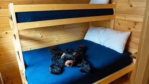 Cindy Bear™ Cabin — image 2 of 7