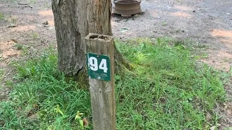 Tent Site With Power Outlet 110V — image 1 of 3
