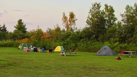 No services- Tent & RV — image 1 of 2