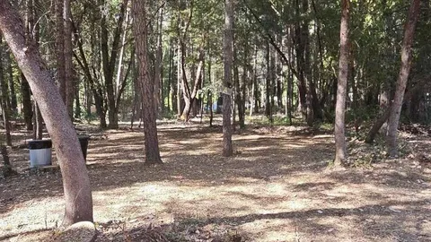 Dry Shaded Overflow Tent Site — image 7 of 7