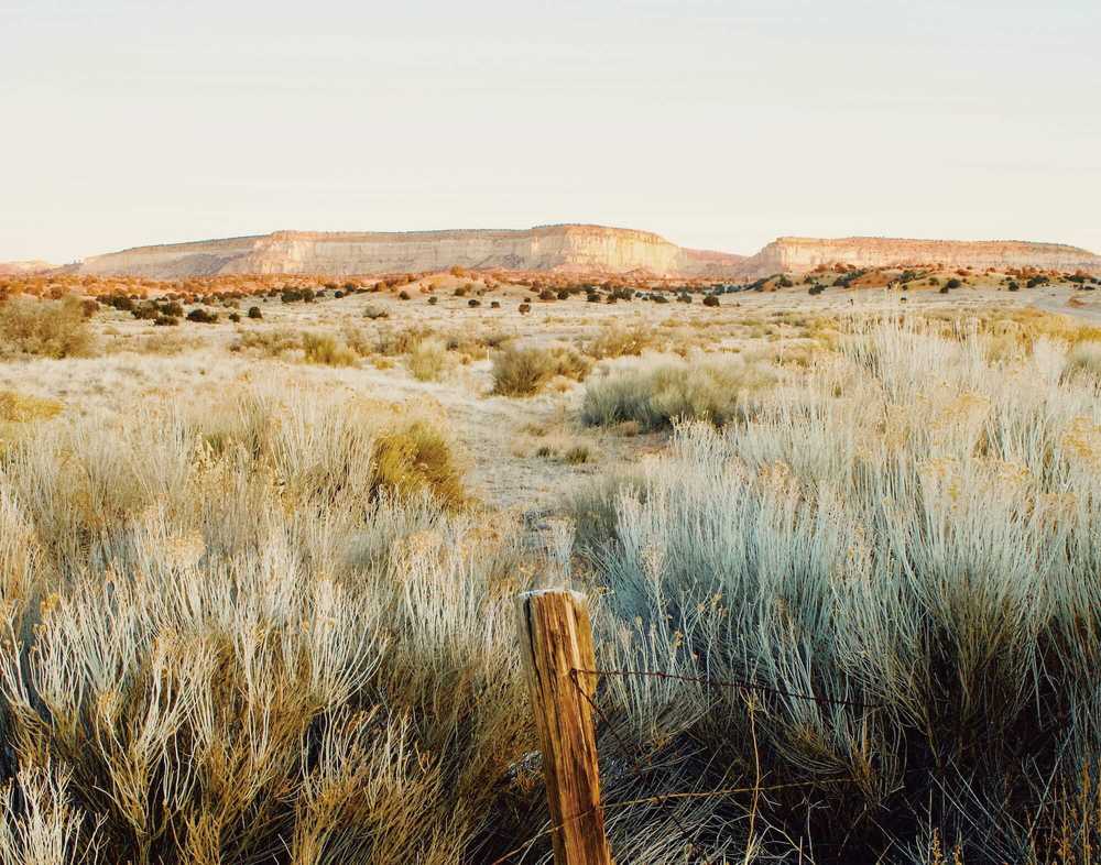 Black Gold RV Park - Midland, Texas - Campspot