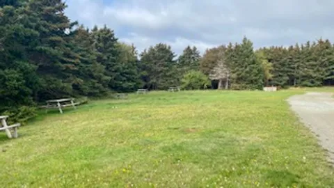 Unserviced Treeline Tent/Popup Sites — image 3 of 3