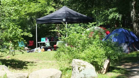 Waterfront Pop-up/Tent/Van — image 1 of 1