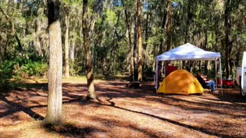 Primitive Tent Site — image 2 of 2