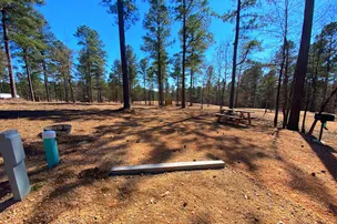Kick it Back Cabins and RV Park – photo 5