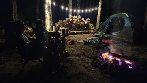 Private Forest Campsite — image 2 of 3