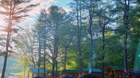 Camping Cabin / Uncle Rog's Loop / Sleeps 2 — image 4 of 4