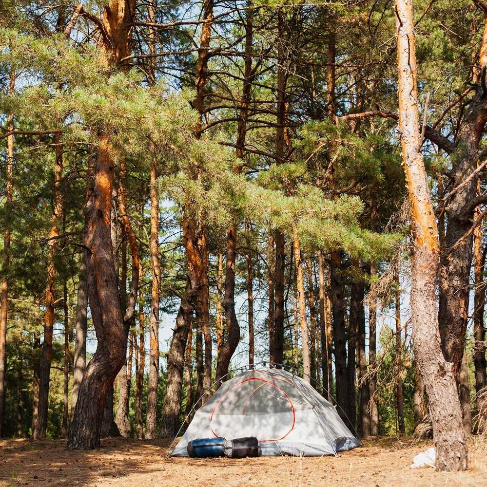 Wheelock Lake Campground - Photo 2