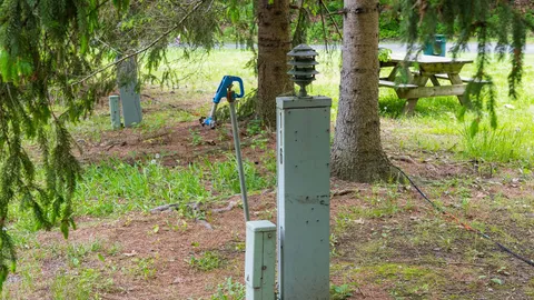 Standard Pull-Thru RV Site — image 2 of 4