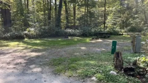 20/30/50 AMP Forest RV Site — image 1 of 13