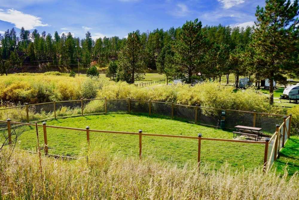 Larsson's Crooked Creek Resort - Photo 5