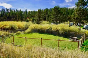 Larsson's Crooked Creek Resort – photo 5