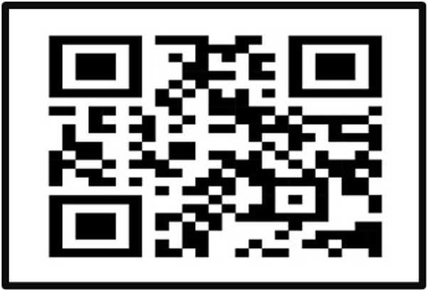 Peppermint Parkway - Scan for Website