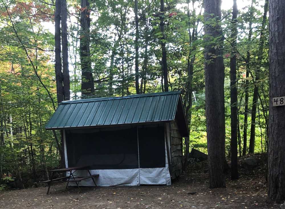 Adirondack Shelter Rustic