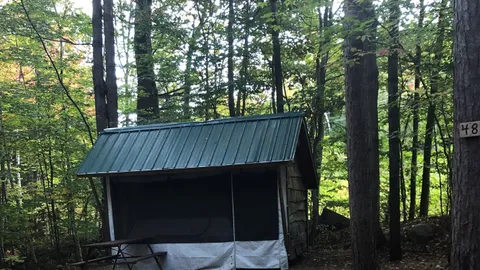 Adirondack Shelter Rustic — image 1 of 1