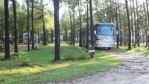 Standard Pull-thru RV Site — image 1 of 1