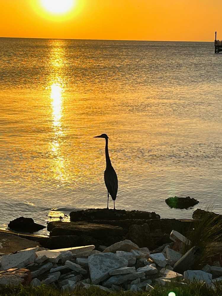 Live Oak Point RV Resort - Photo 2