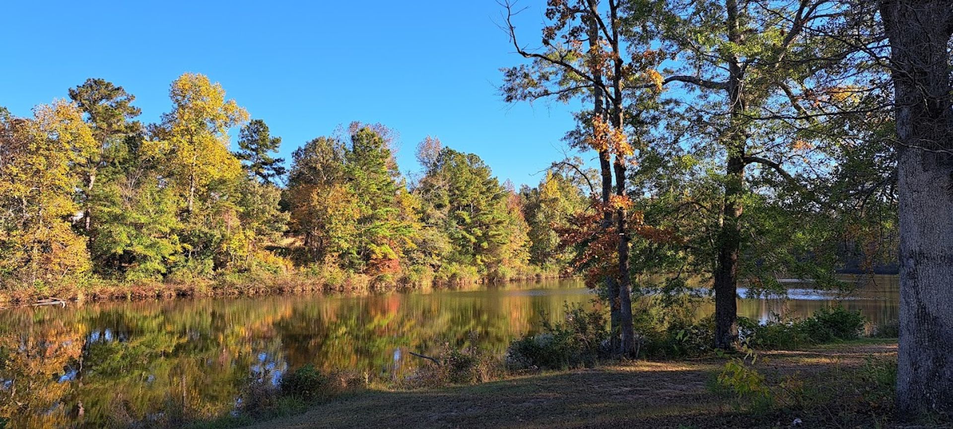 Peach Queen, Jemison, Alabama