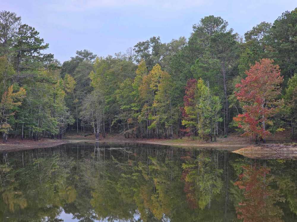 M&M Outdoors, LLC, Ramer, Alabama - Photo 2