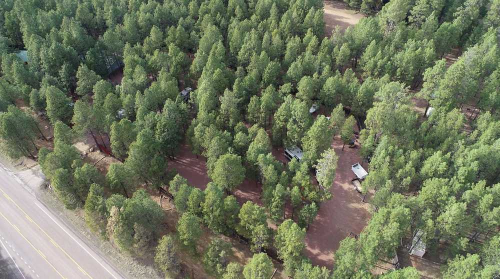 Five Lakes RV Park Forest Lakes, Arizona Campspot