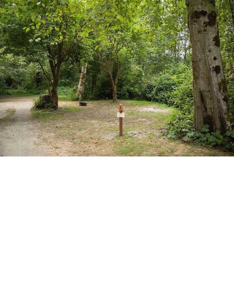 Alderwoods  More Private Tent Site