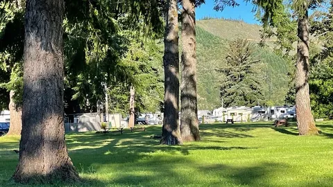 LUSH GRASSY TENT SITE — image 1 of 1